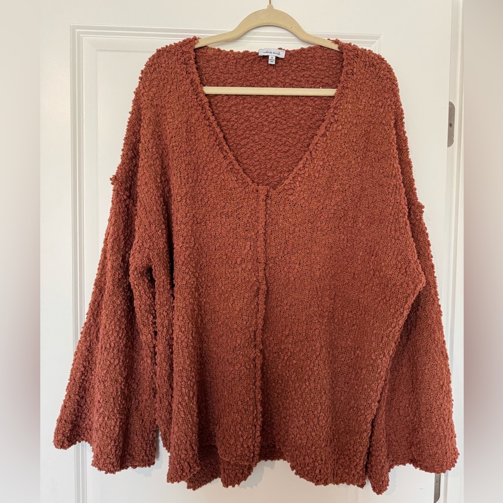 Boutique White Birch Textured V-Neck Sweater in Rust